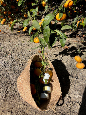 New! Sol Honey Cream